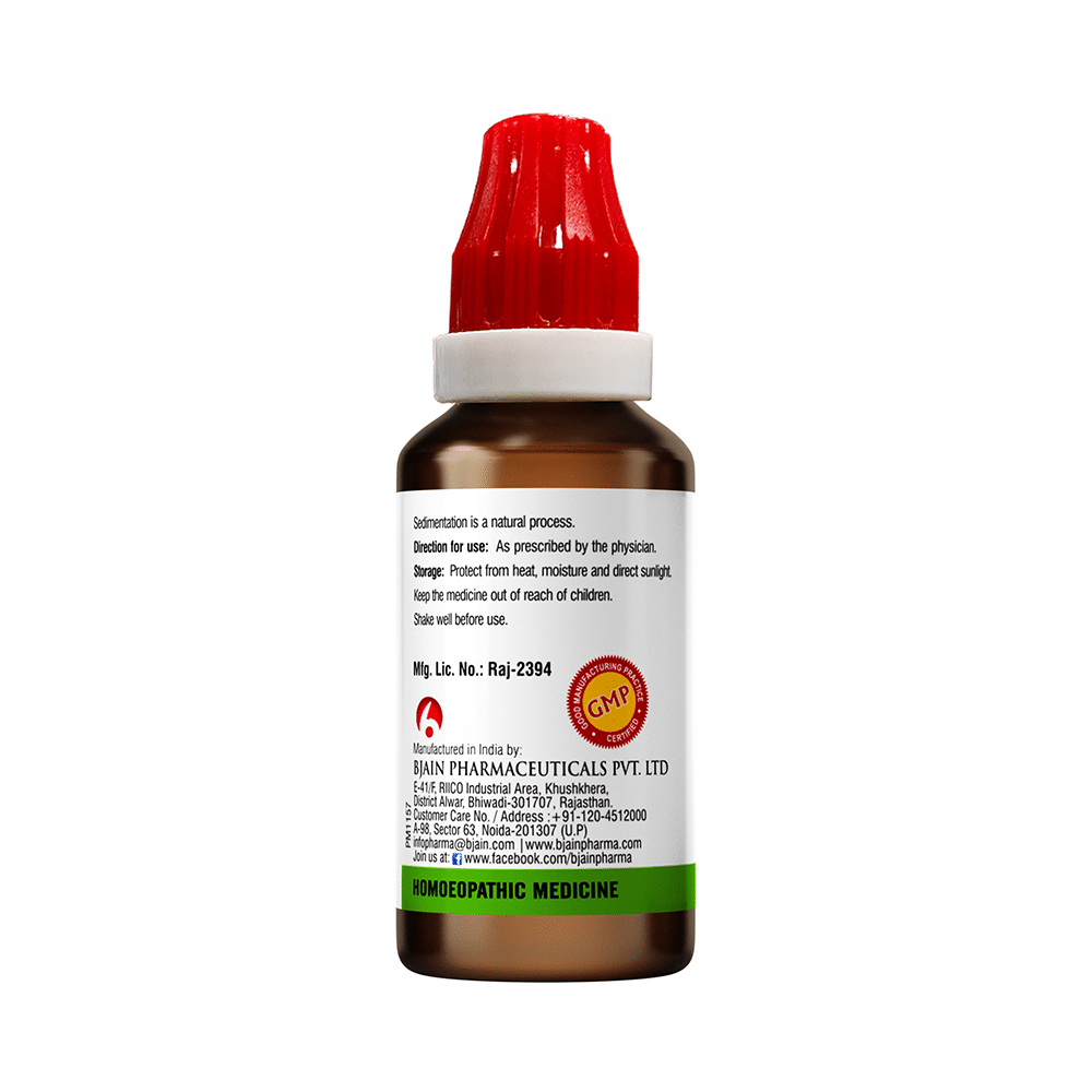 Bjain Stigmata Maydis Zea Mother Tincture Q - Image 2