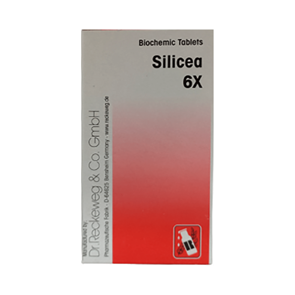 Dr Reckeweg &Co.gmbH Silicea (20gm Each) Biochemic Tablet 6X - Image 1