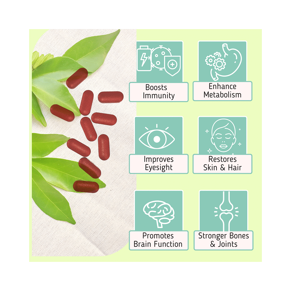 7X Wellness Nutrient Balance Tablet (60 Each) - Image 7