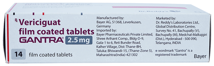 Gantra 2.5 Tablet - Image 3