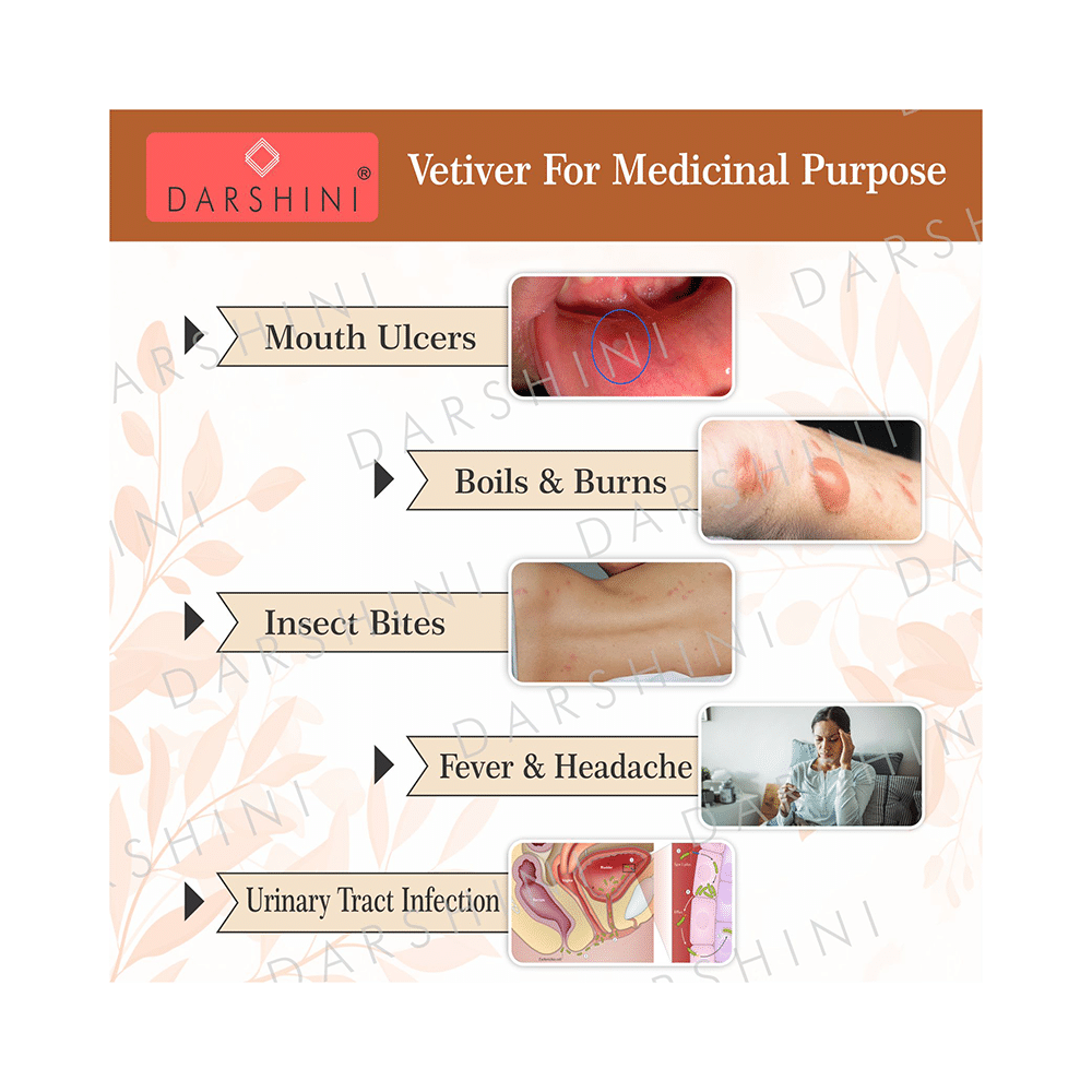 Darshini Khusgrass Root / Vetiver Root / Khus Root / Vetiveria Zizanioides Powder - Image 3