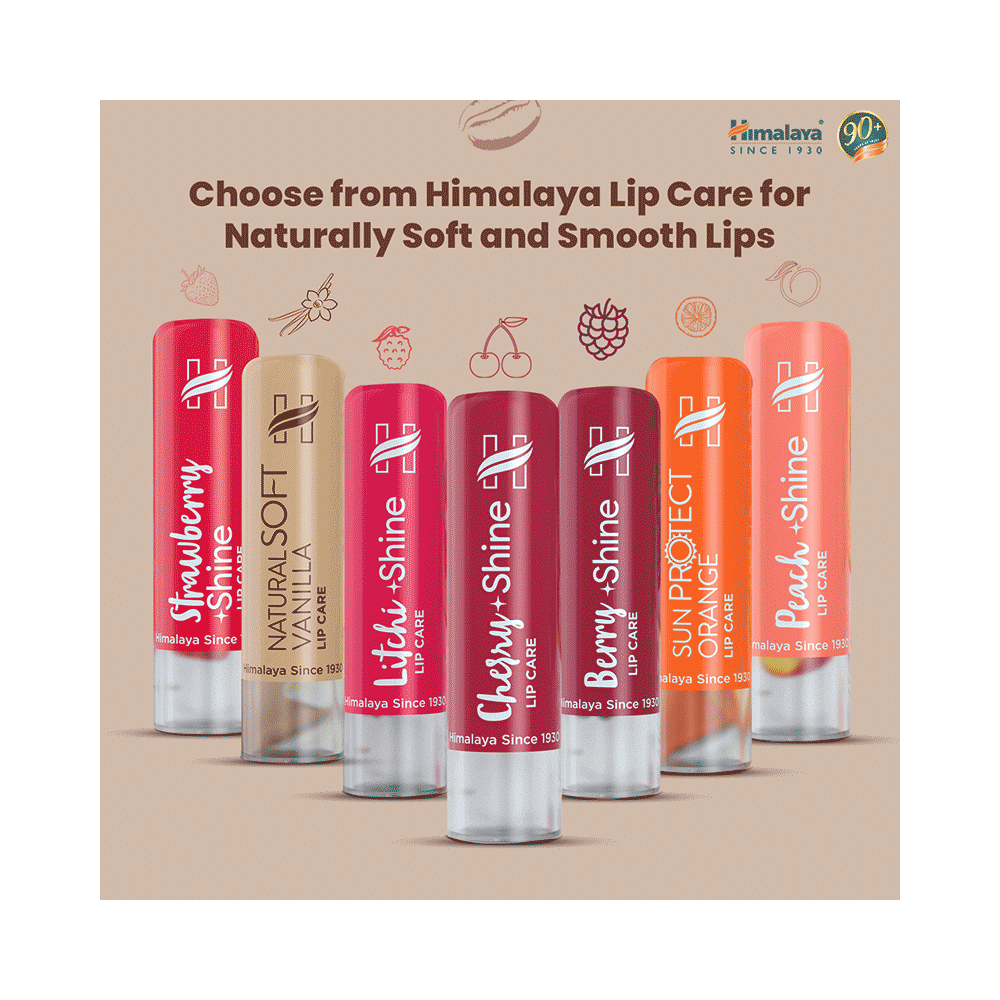 Himalaya Rich Cocoa Butter Lip Care - Image 7