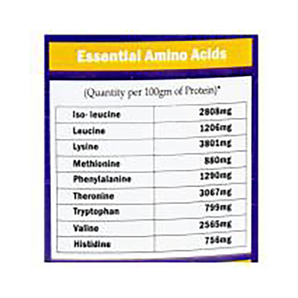 Welltoo Pro Protein Vanilla Powder - Image 5