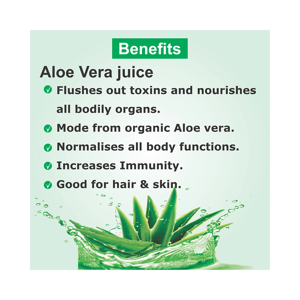 TreasureHerbs Organic Aloe Vera Juice Litchi - Image 4