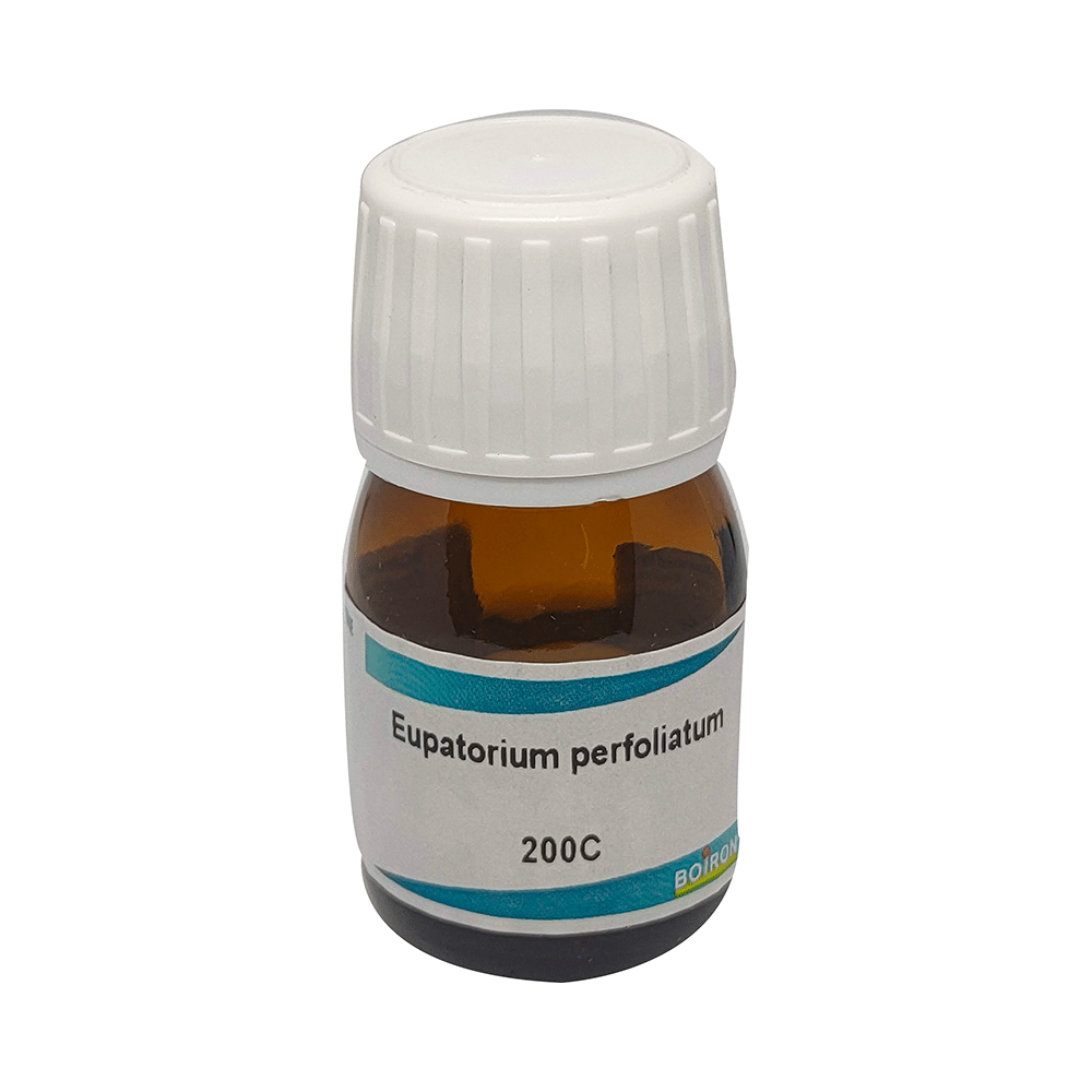 Boiron Eupatorium Perfoliatum Dilution 200C - Image 1