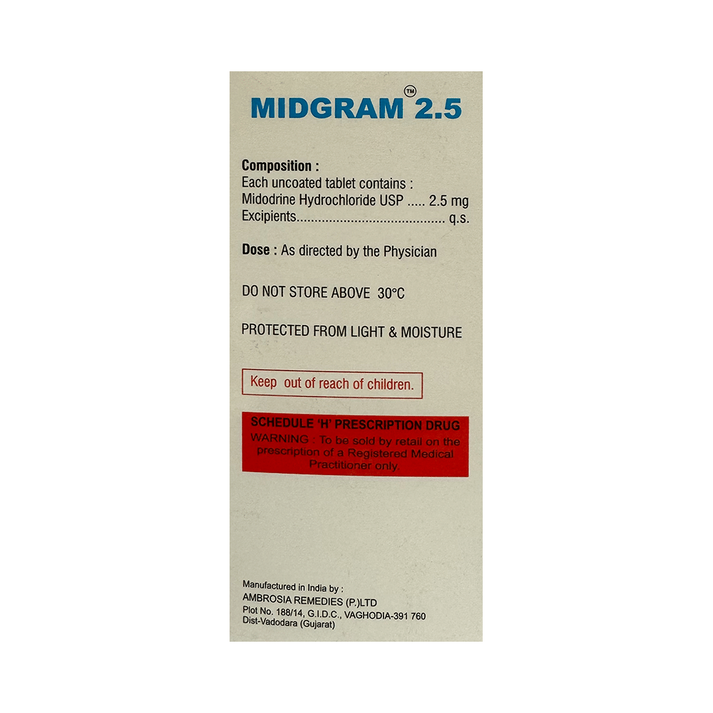 Midgram 2.5 Tablet - Image 2
