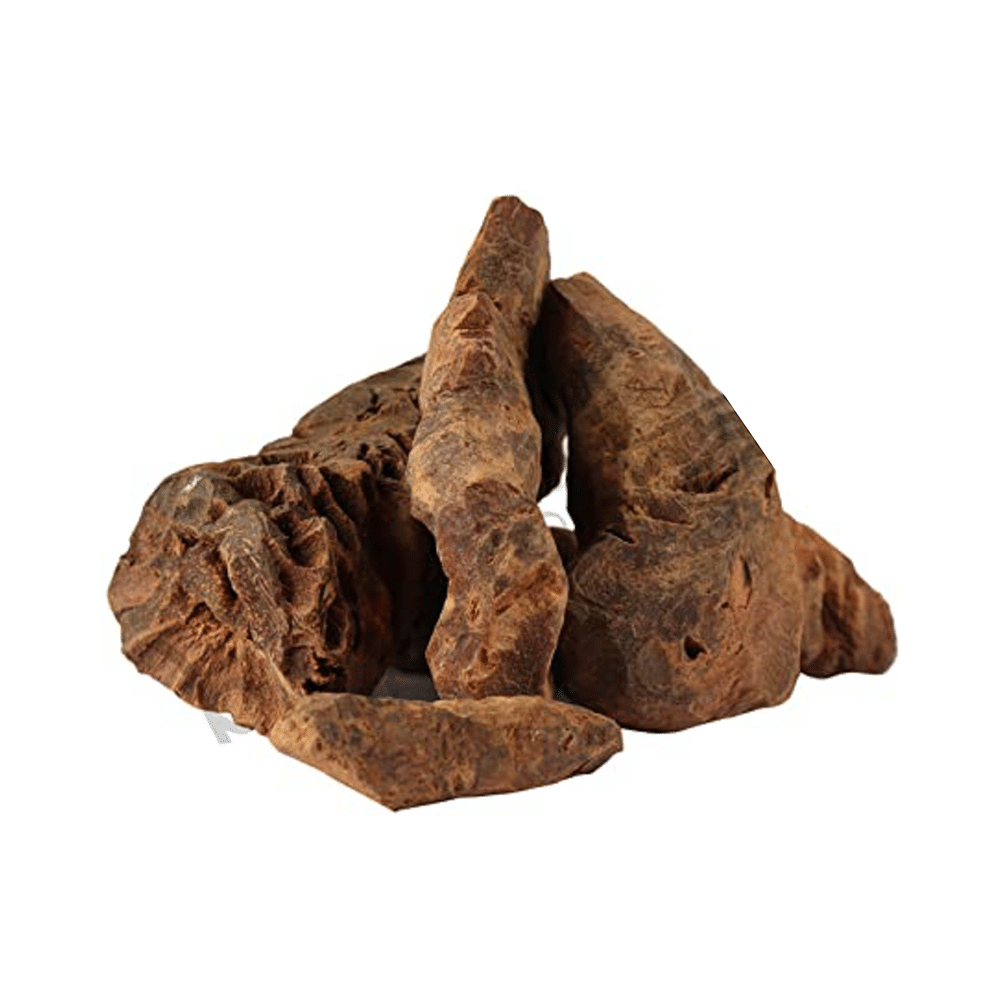 Birju Mahavir Chobchini - Image 3