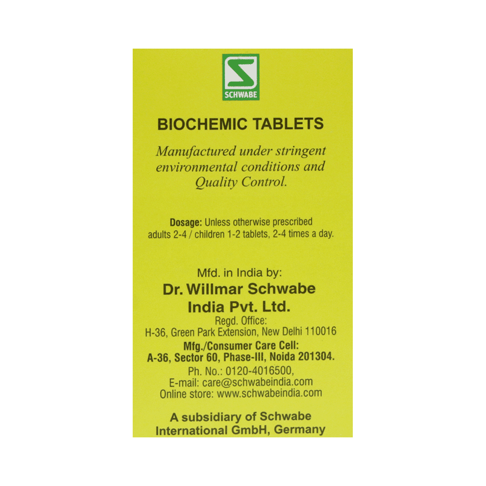 Dr Willmar Schwabe India Calcarea Sulphurica Biochemic Tablet 12X - Image 2