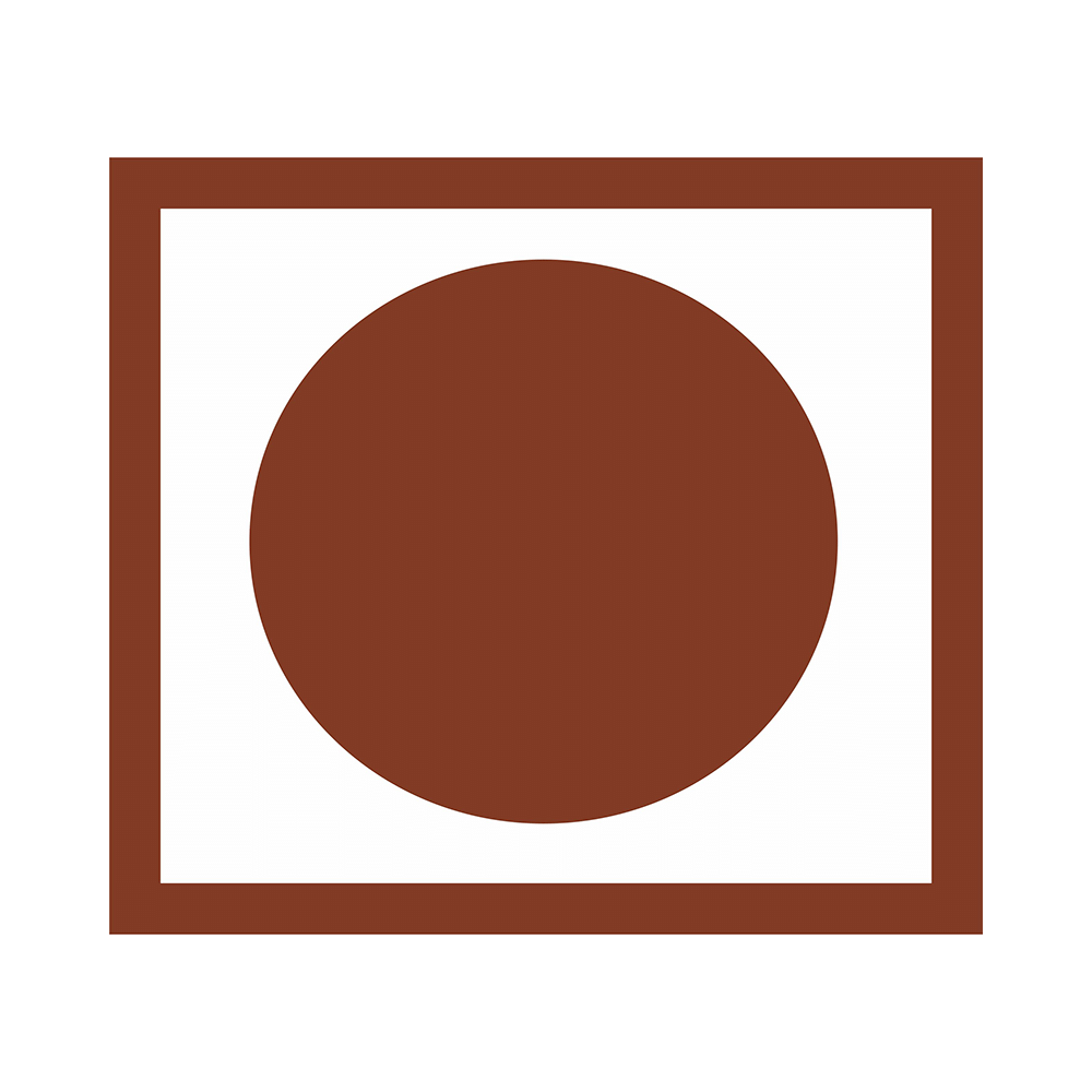 TVS Biotech Bacopa Capsule - Image 5