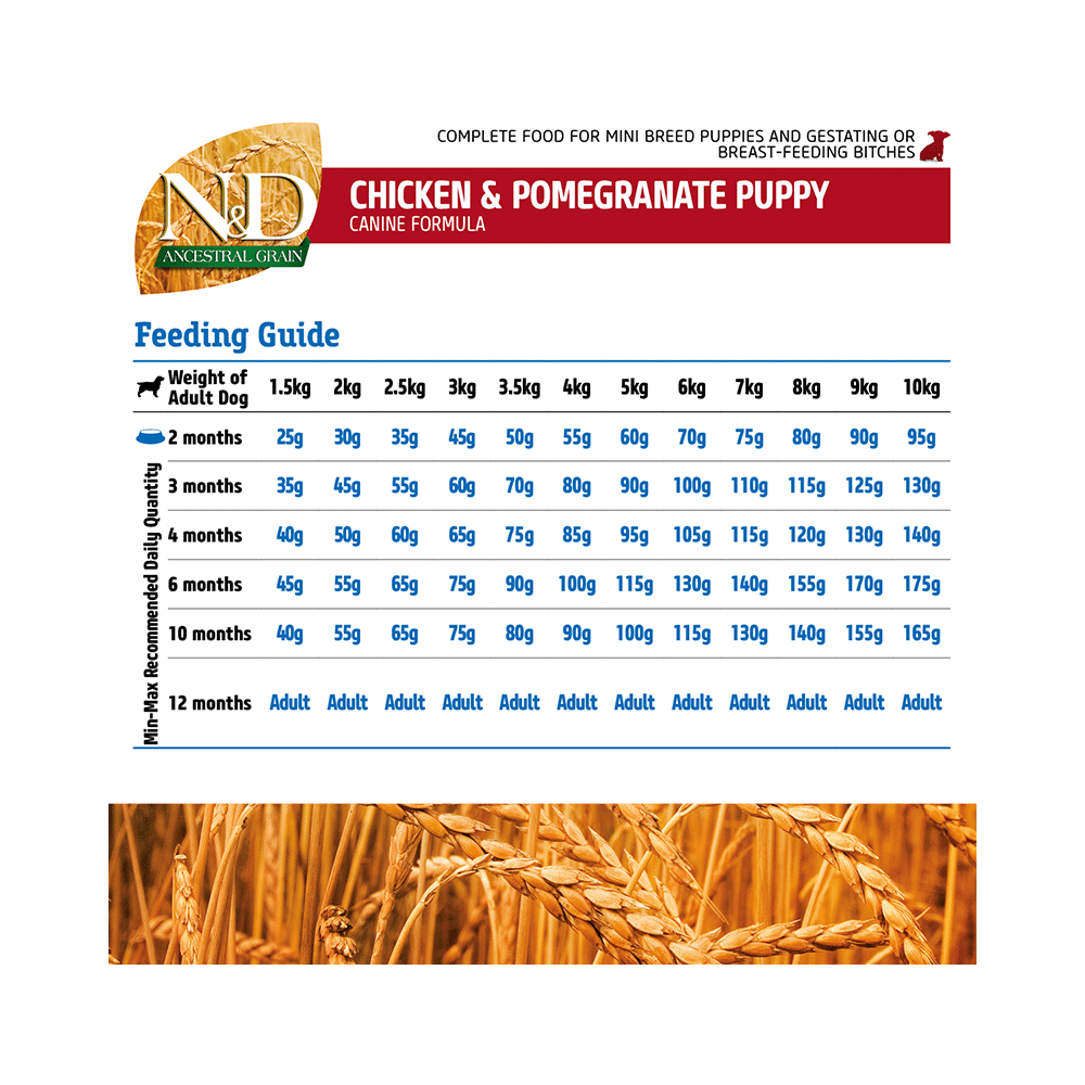 Farmina Pet Foods N&D Ancestral Grain for Puppy Mini Breed - Image 7