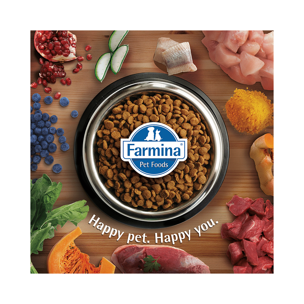 Farmina Pet Foods N&D Ancestral Grain for Puppy Mini Breed - Image 8