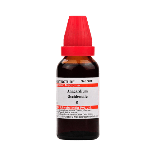 Dr Willmar Schwabe India Anacardium Occidentale Mother Tincture Q - Image 1