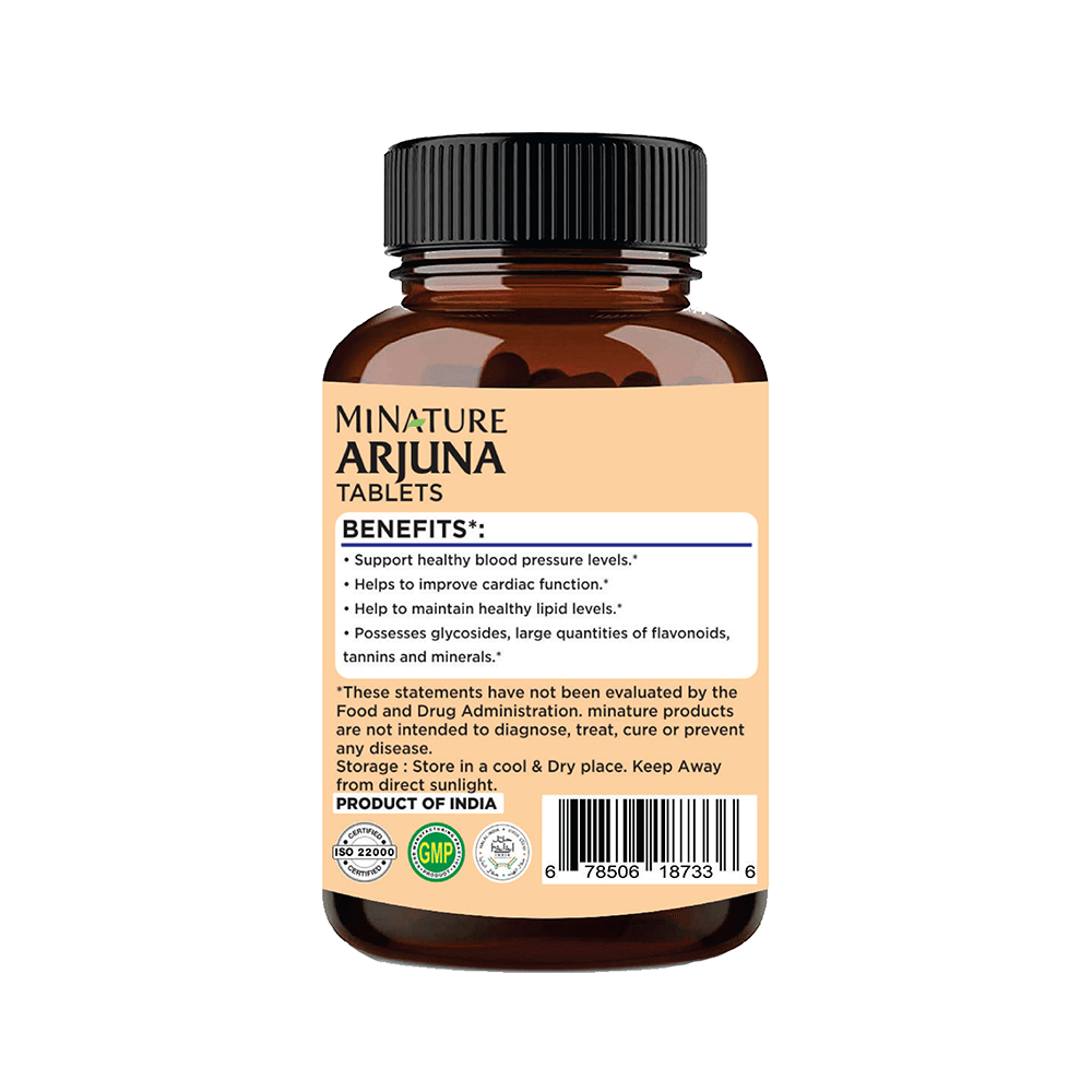 Minature Arjuna Tablet - Image 3