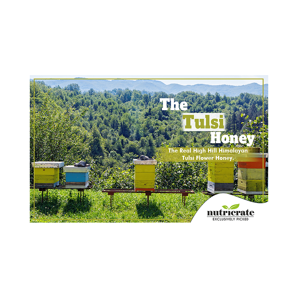 Nutricrate Tulsi Honey - Image 4