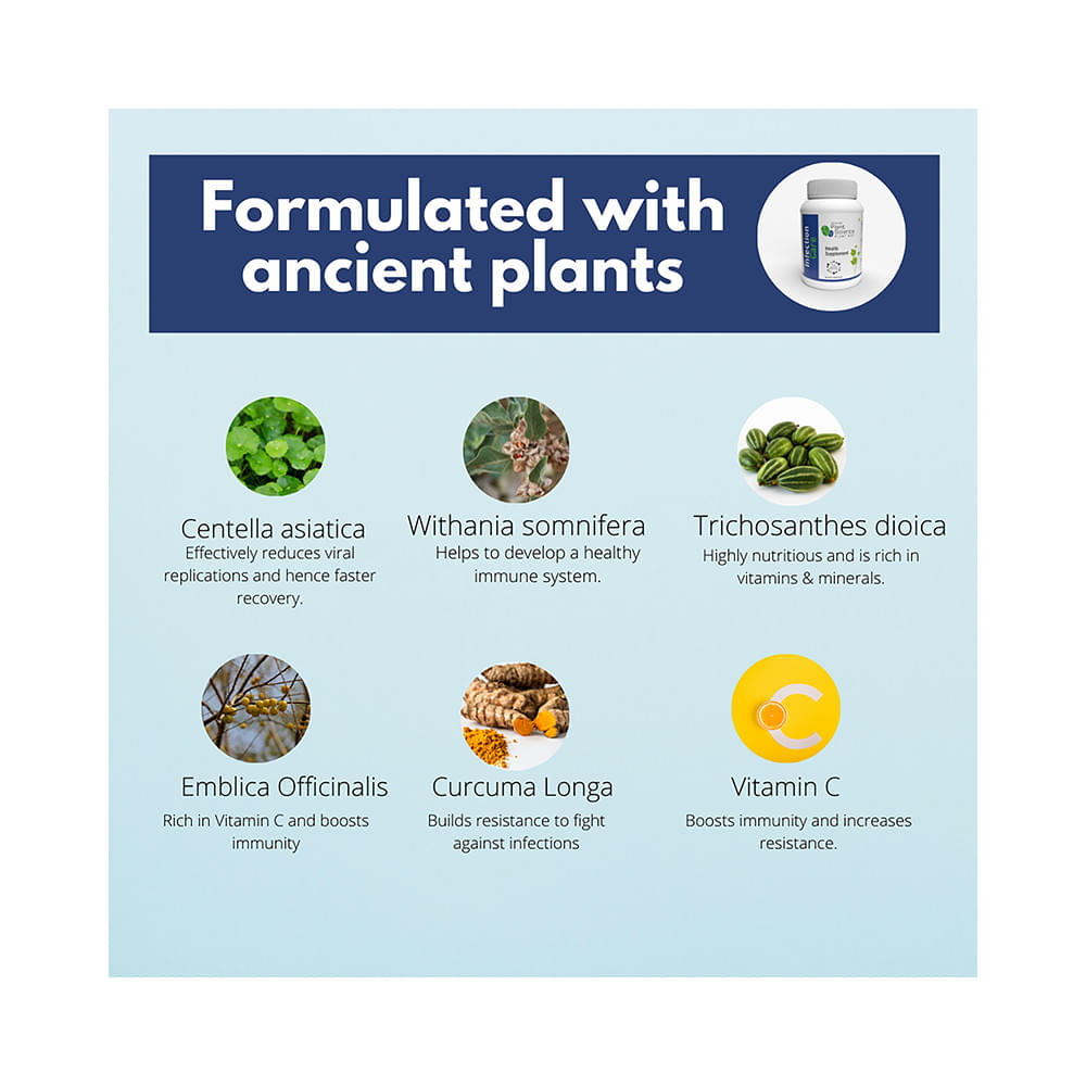 Atrimed Plant Science Plant Diet Infection Care Veg Capsule - Image 4