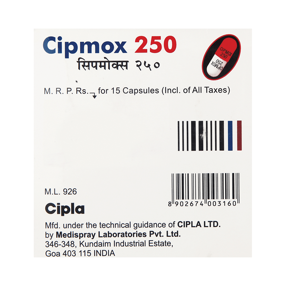 Cipmox 250 Capsule - Image 3