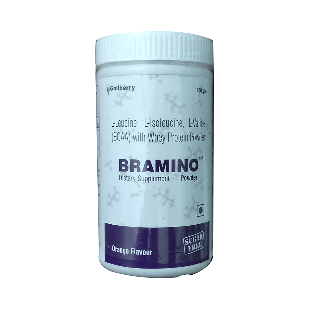 Bramino Whey Protein Powder Orange Sugar Free - Image 1