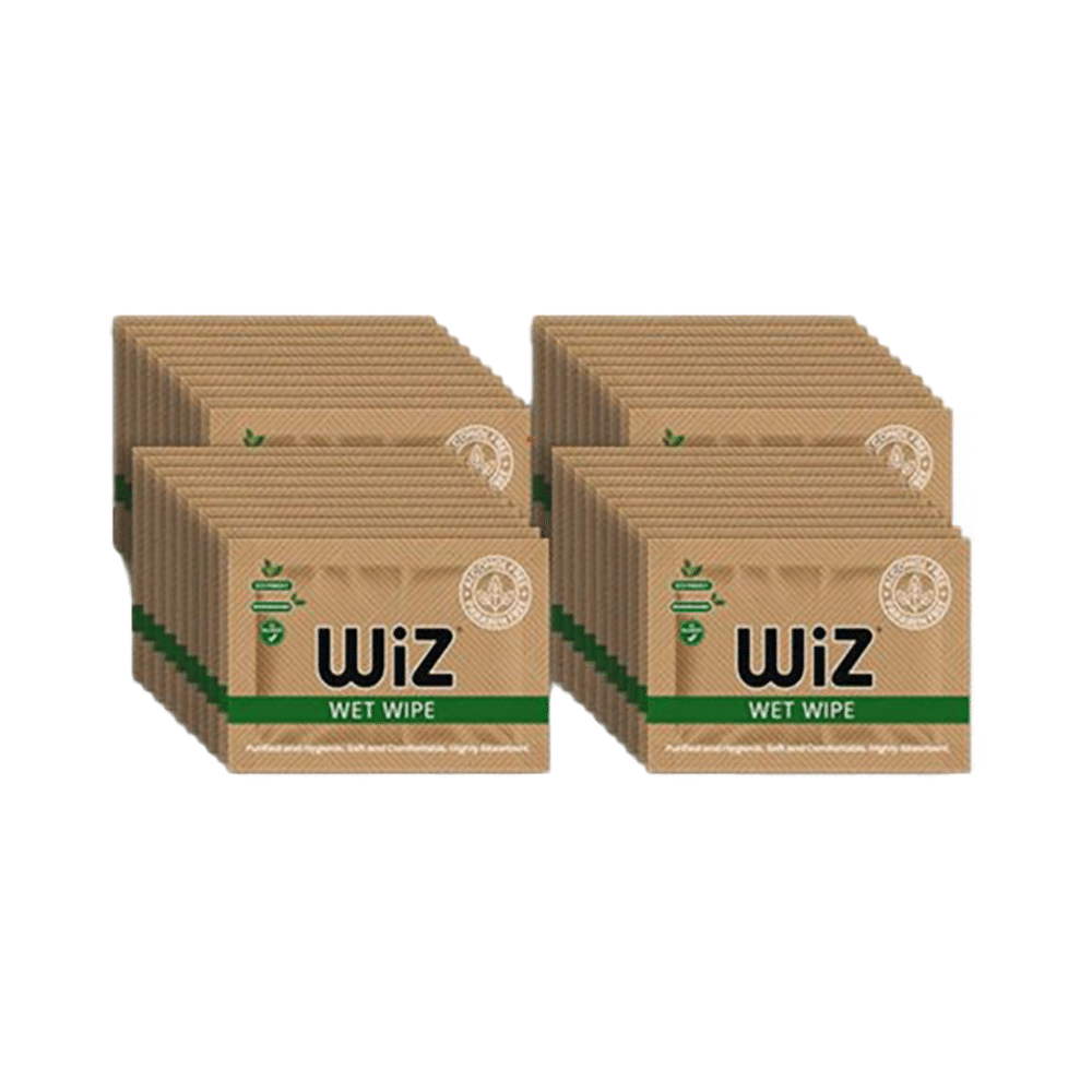 Wiz Wet Wipes (1 Each) - Image 1