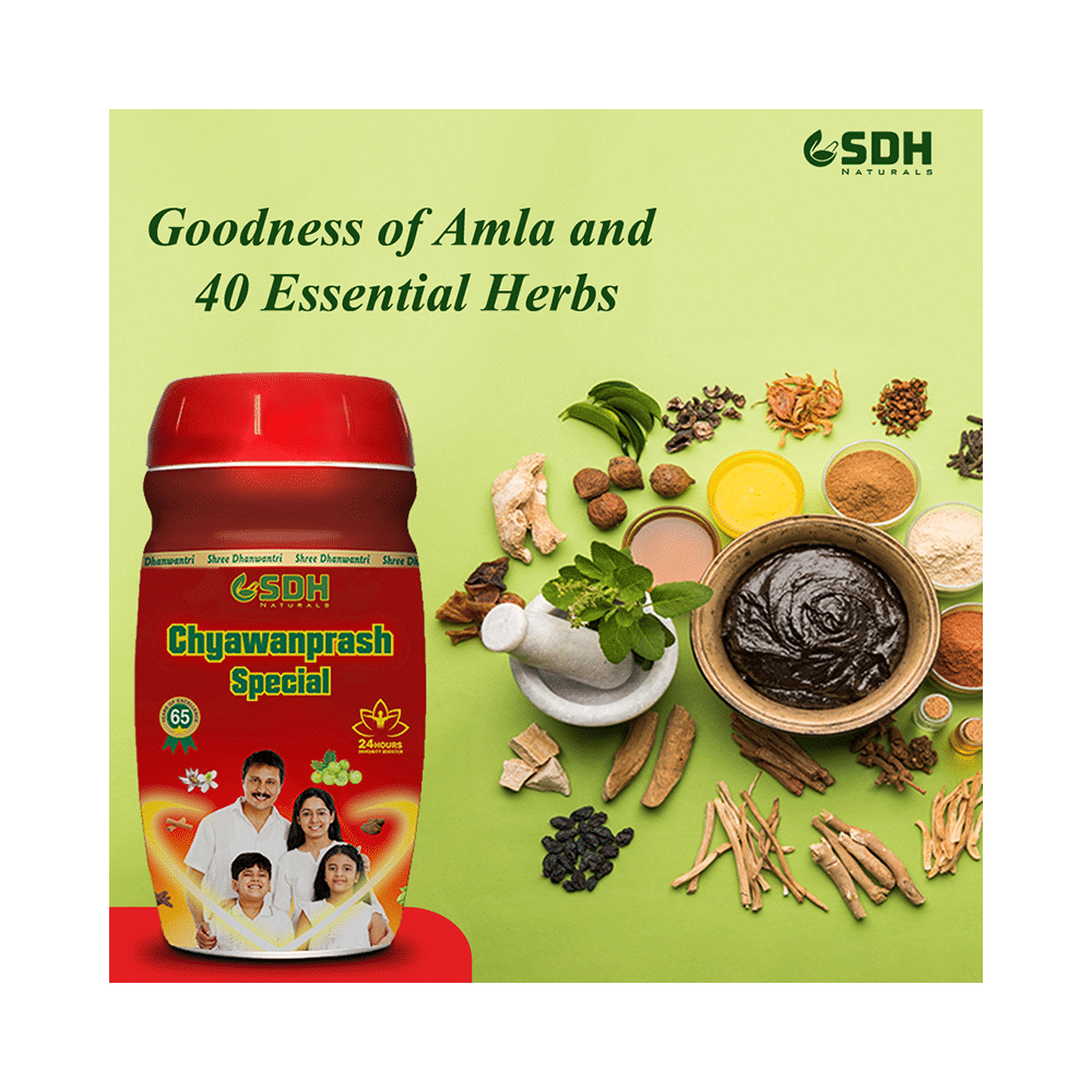 SDH Naturals Chyawanprash Special - Image 7
