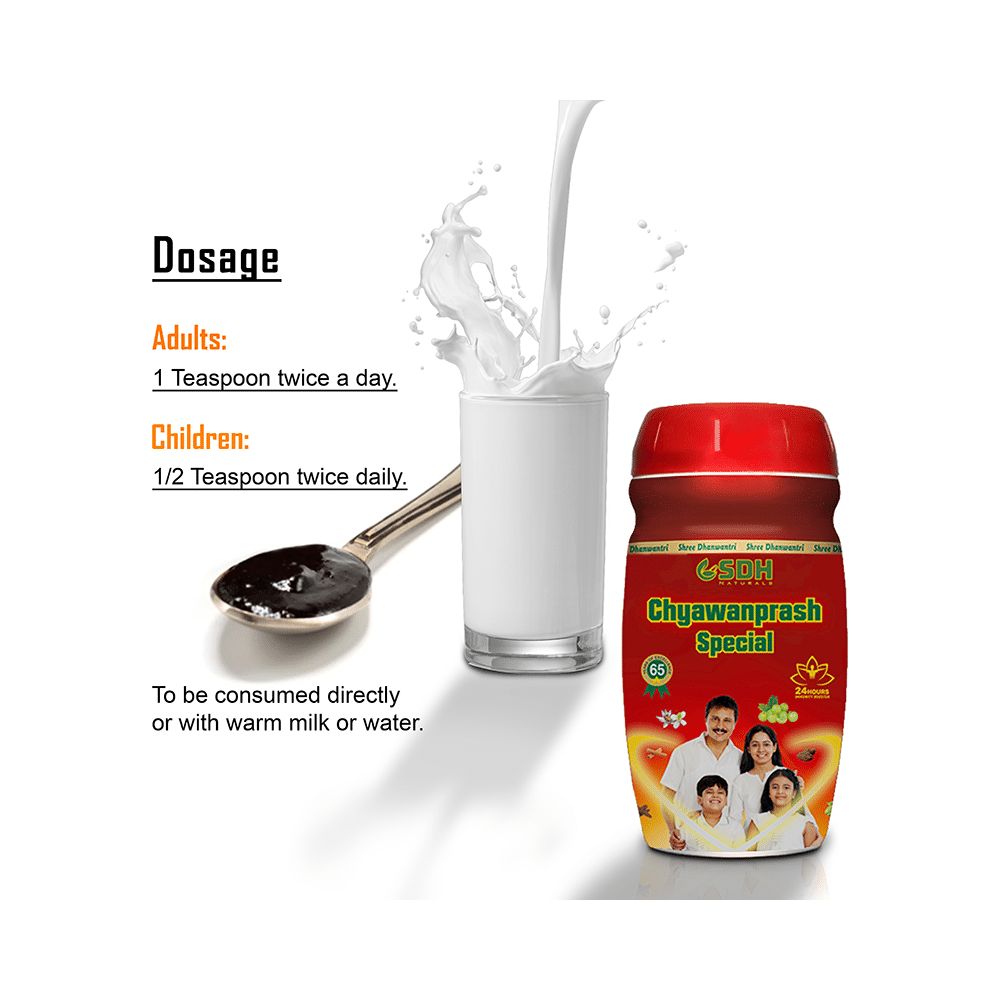 SDH Naturals Chyawanprash Special - Image 8