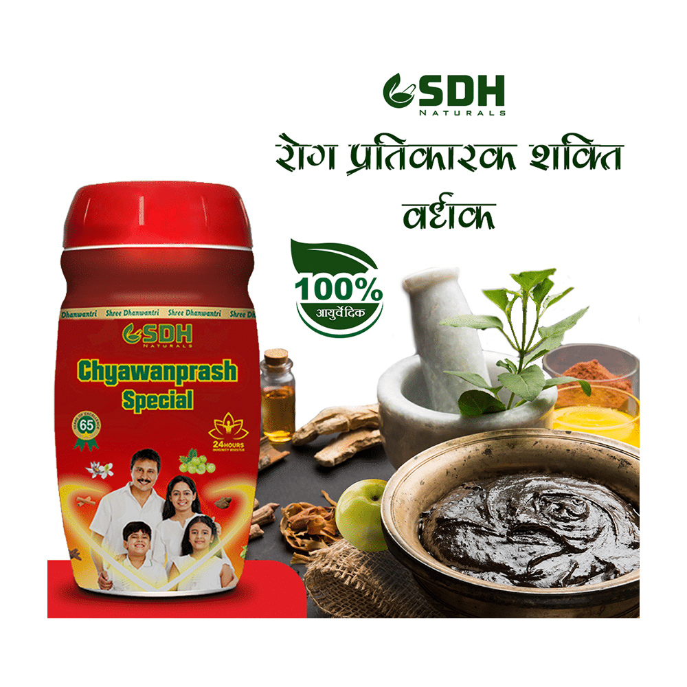 SDH Naturals Chyawanprash Special - Image 6