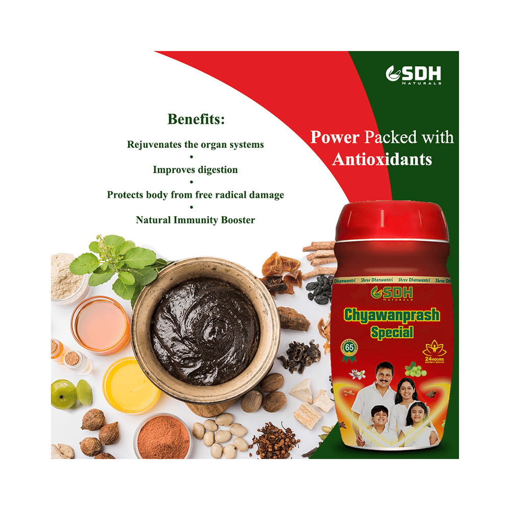 SDH Naturals Chyawanprash Special - Image 4