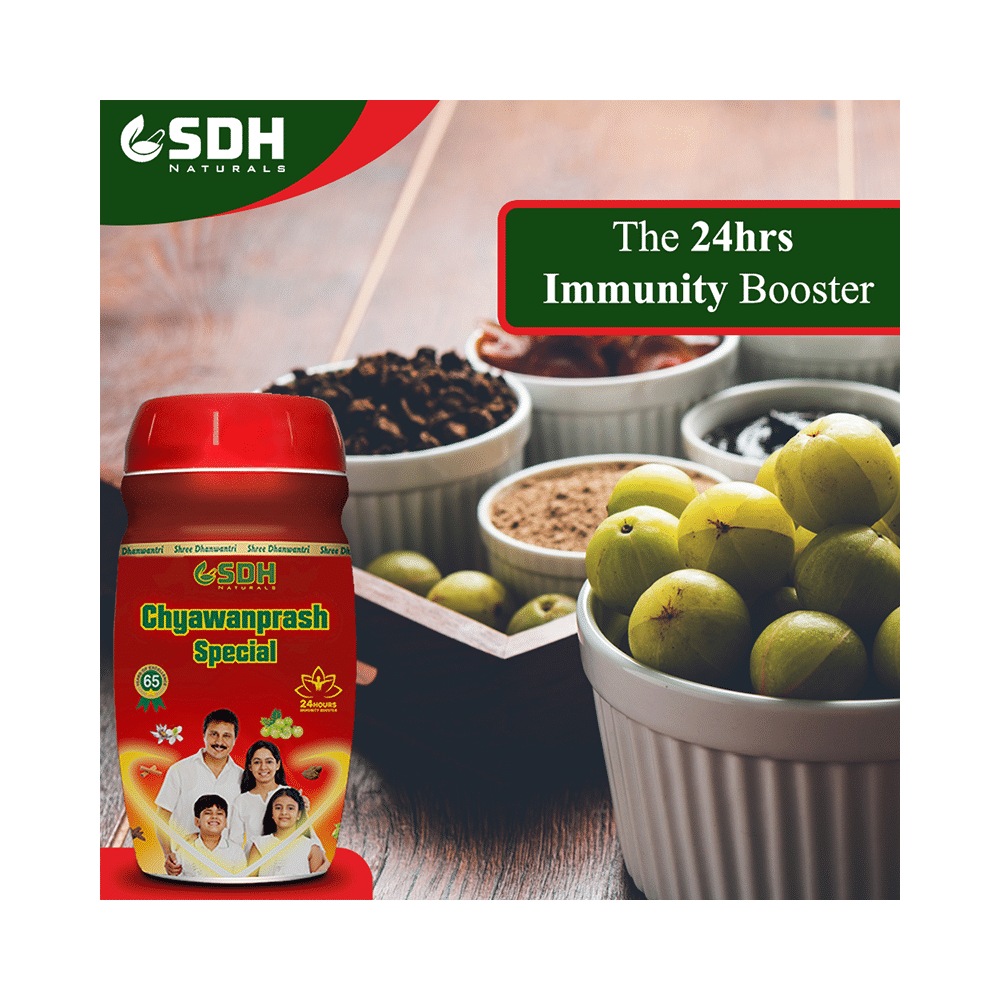 SDH Naturals Chyawanprash Special - Image 3