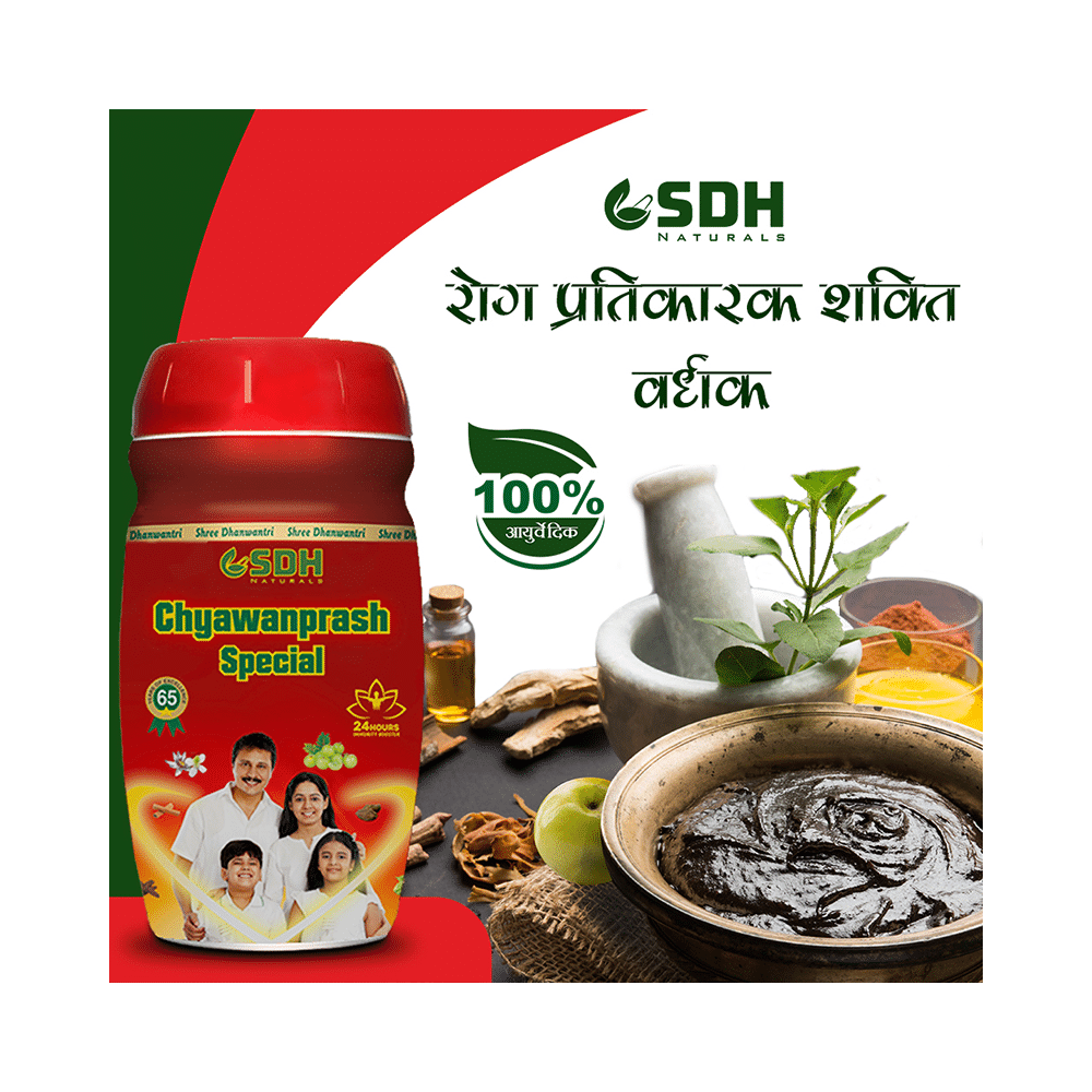 SDH Naturals Chyawanprash Special - Image 5