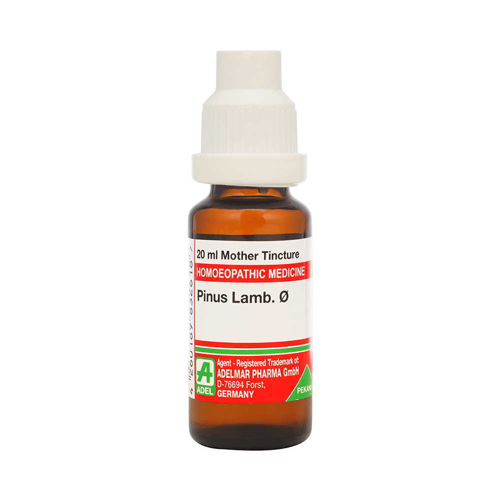 ADEL Pinus Lamb. Mother Tincture Q - Image 1