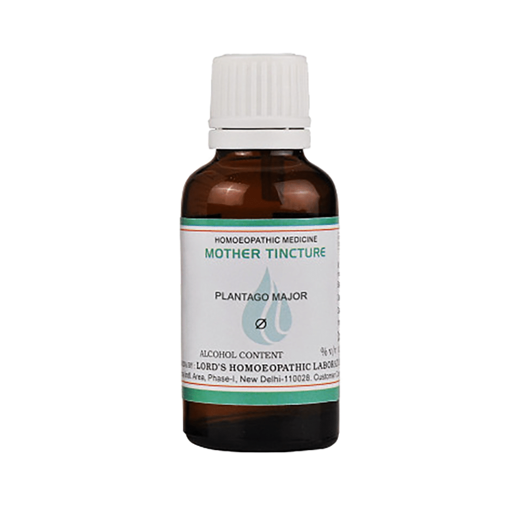 Lord's Plantago Major Mother Tincture Q - Image 2