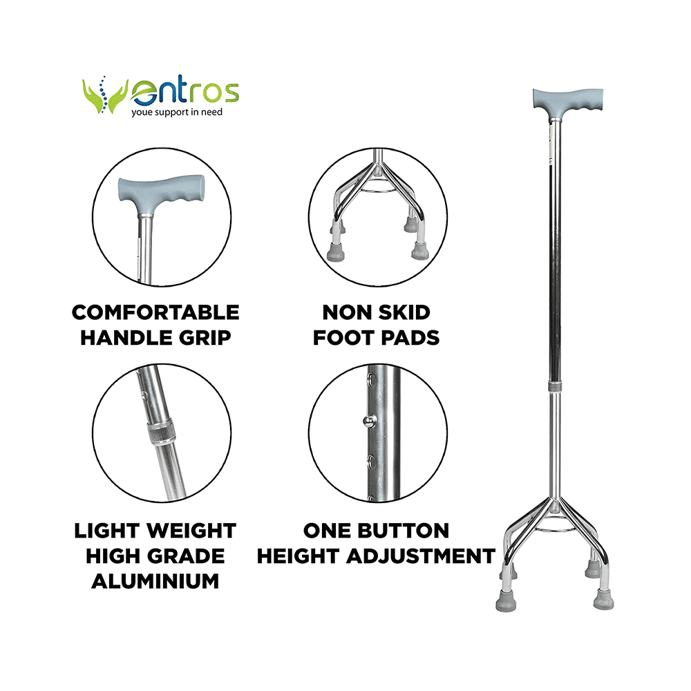 Entros KL 932 Walking Stick - Image 4