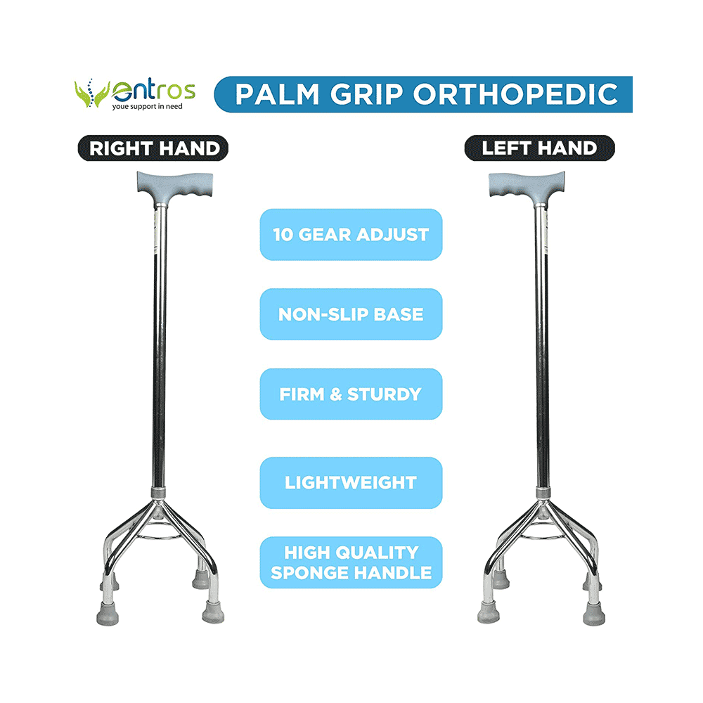 Entros KL 932 Walking Stick - Image 3