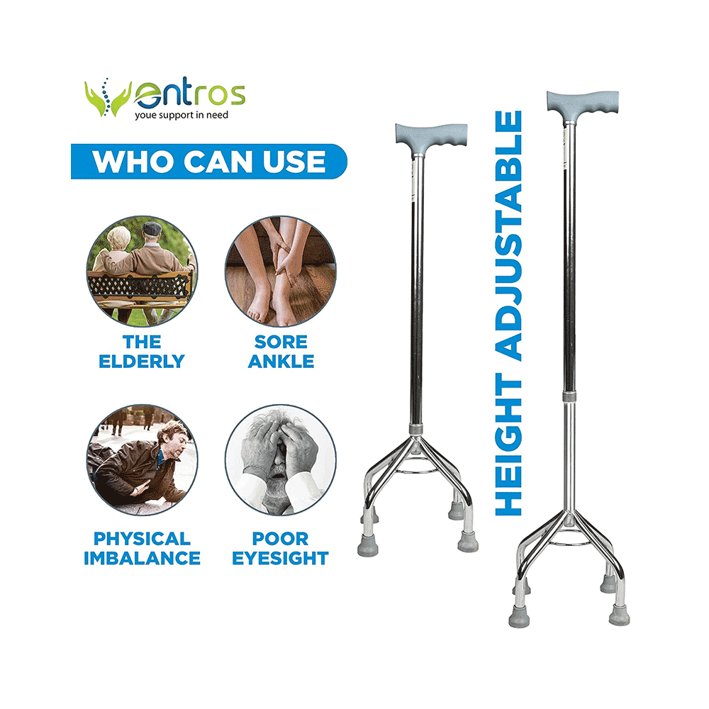 Entros KL 932 Walking Stick - Image 2