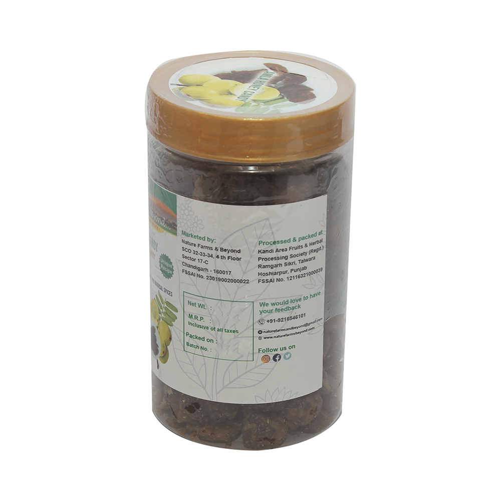 Nature Farms & Beyond Amla Honey Candy - Image 2