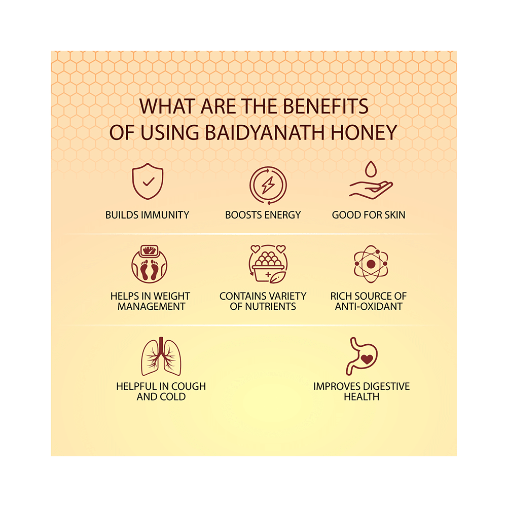 Baidyanath (Noida) Honey | No Sugar Adulteration - Image 3