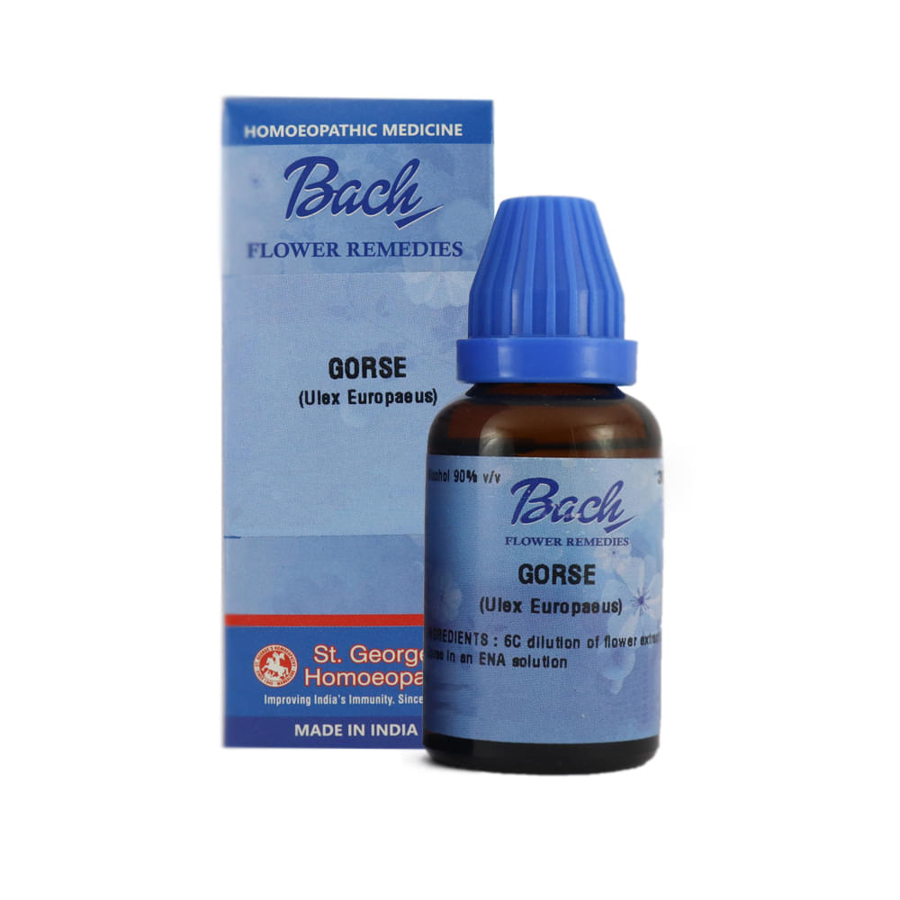 St. George’s Bach Flower Gorse 6 CH