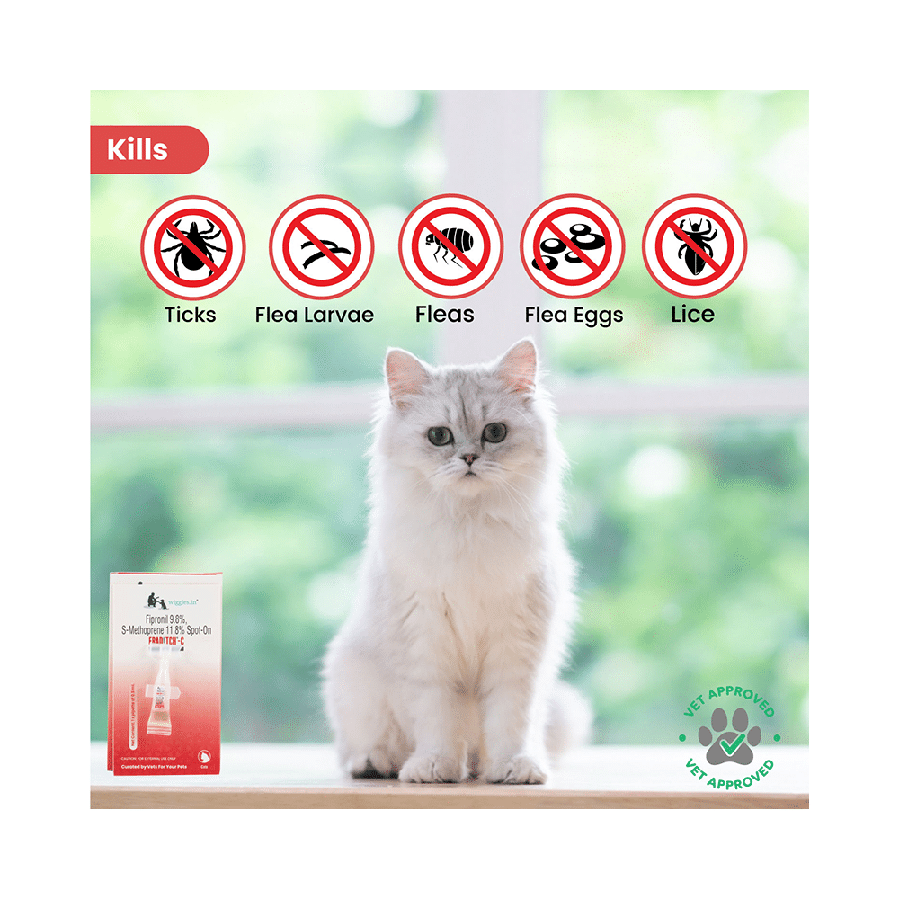 Wiggles Eraditch Spot-On for Cats - Image 2