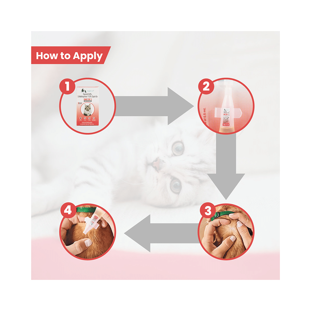 Wiggles Eraditch Spot-On for Cats - Image 6