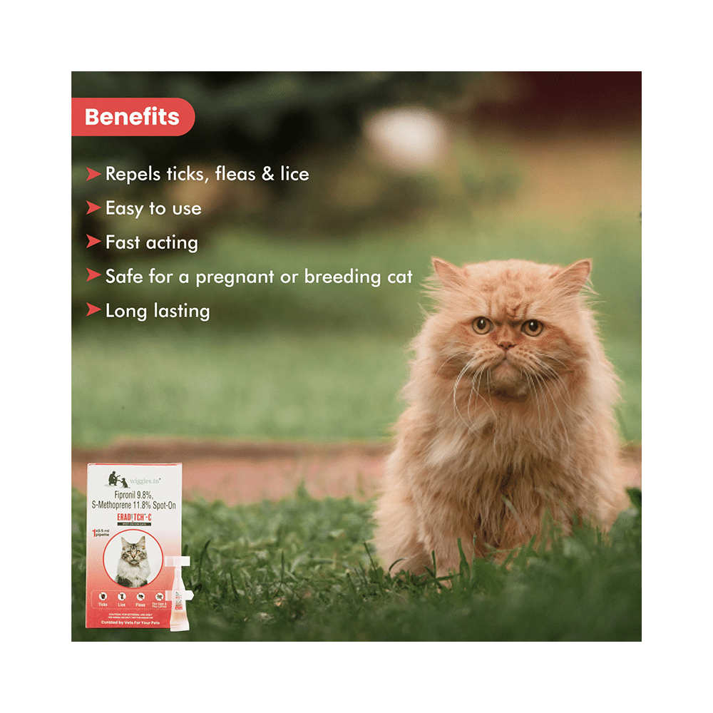 Wiggles Eraditch Spot-On for Cats - Image 3