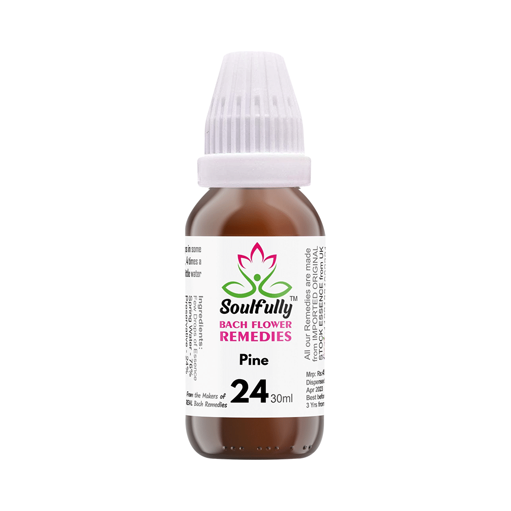 Soulfully Pine Bach Flower Remedies Drops - Image 1