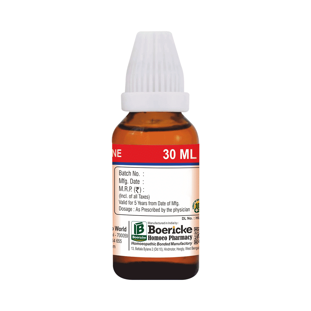Dr. Majumder Homeo World Brahmi Dilution (30 ml Each) 30 CH - Image 2