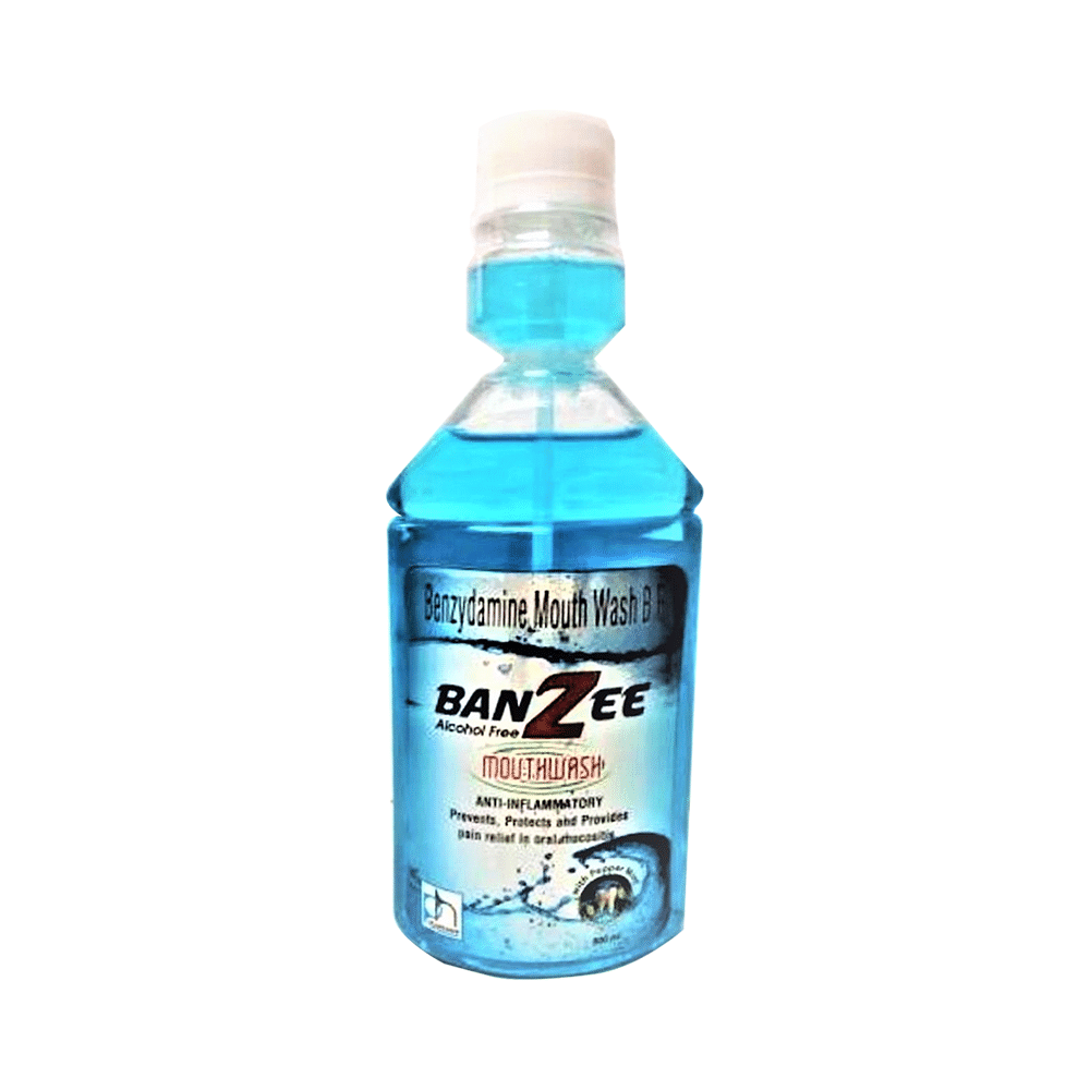 Banzee Mint Mouth Wash - Image 1
