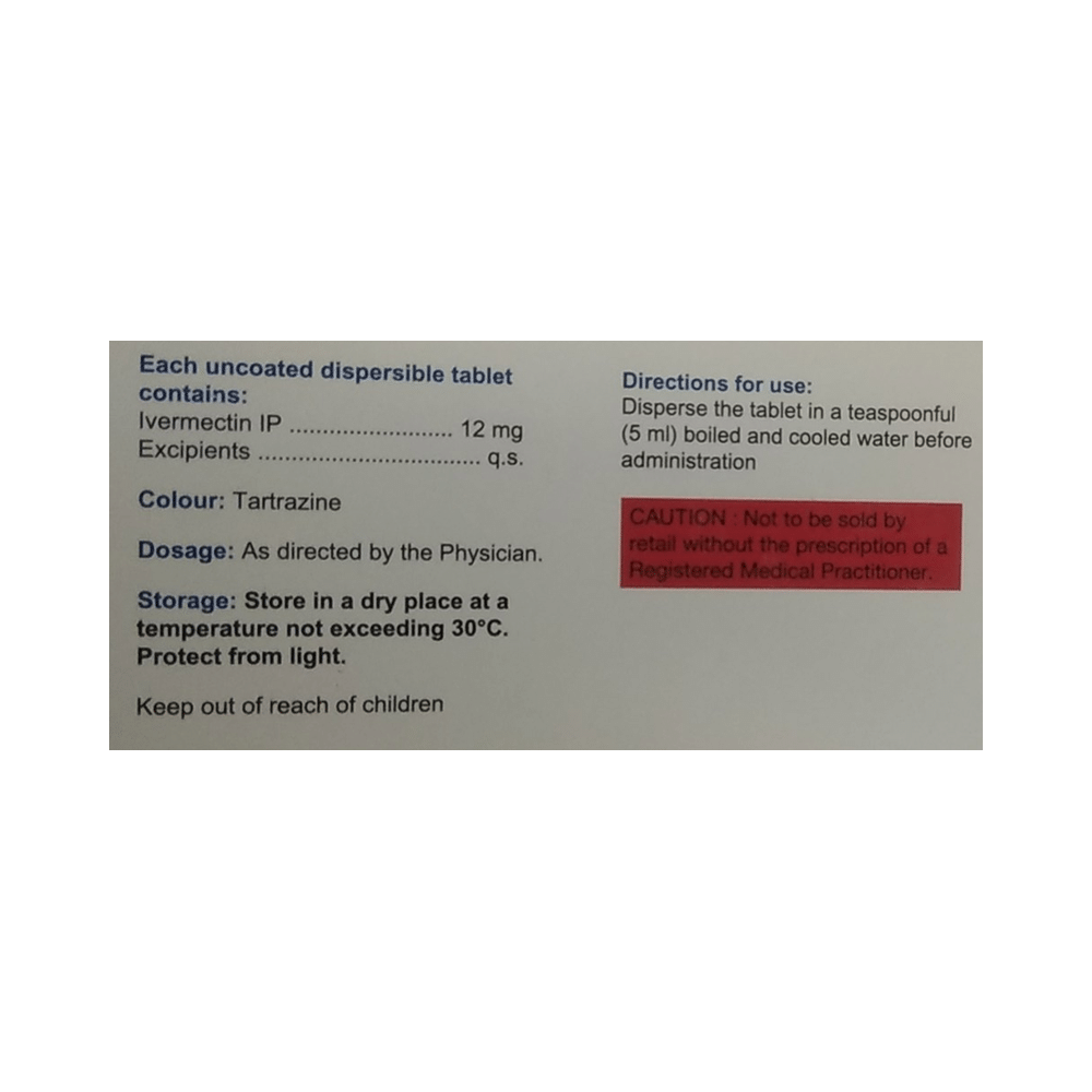 Ivrix 12 Tablet DT - Image 2