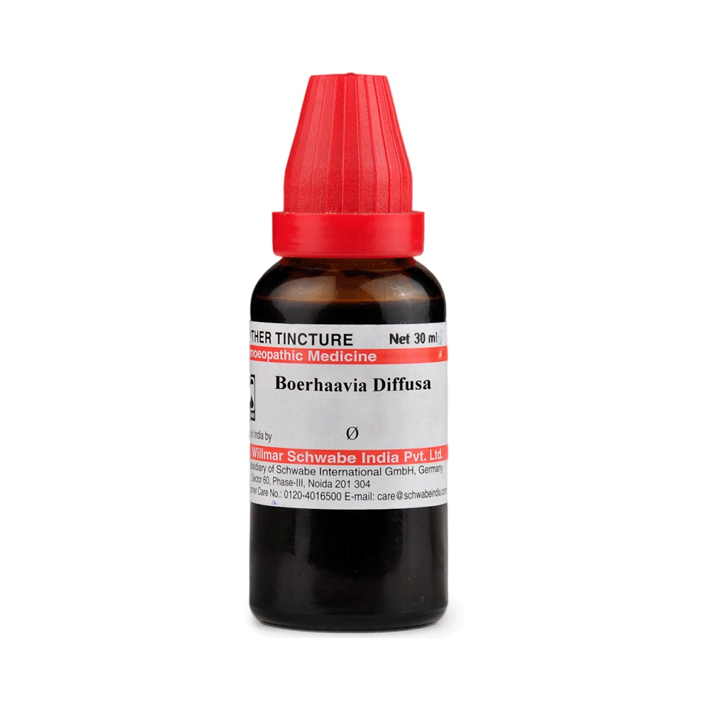 Dr Willmar Schwabe India Boerhaavia Diffusa Mother Tincture Q - Image 2
