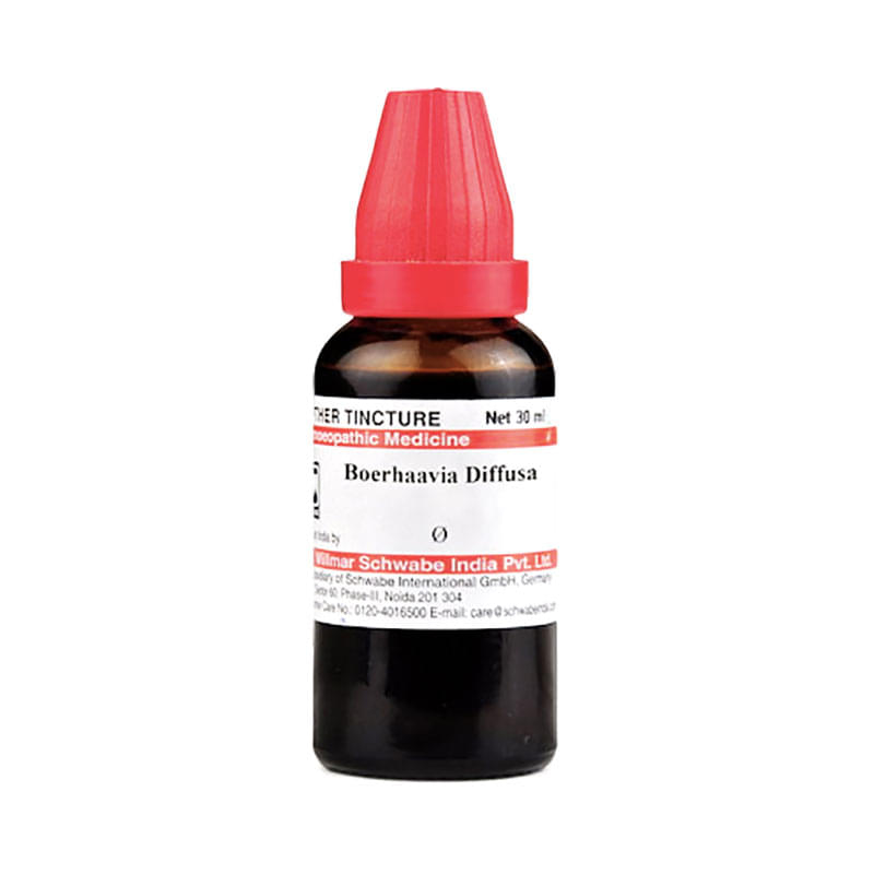 Dr Willmar Schwabe India Boerhaavia Diffusa Mother Tincture Q
