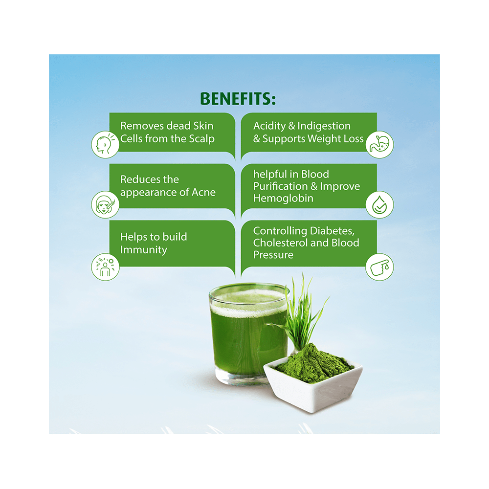 Dwibhashi Wheatgrass Powder Gluten Free - Image 3