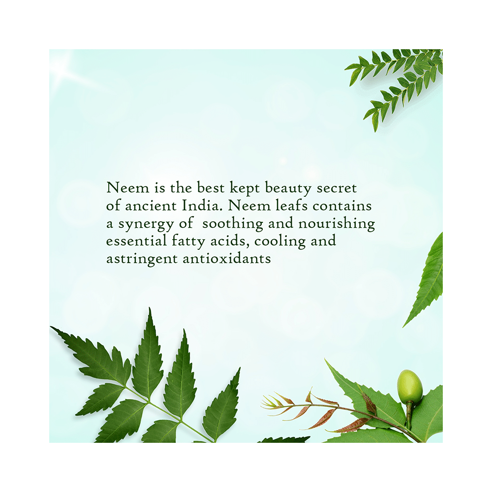 Aravalli Neem Combo Pack of Face Scrub 50 & 100gm - Image 5