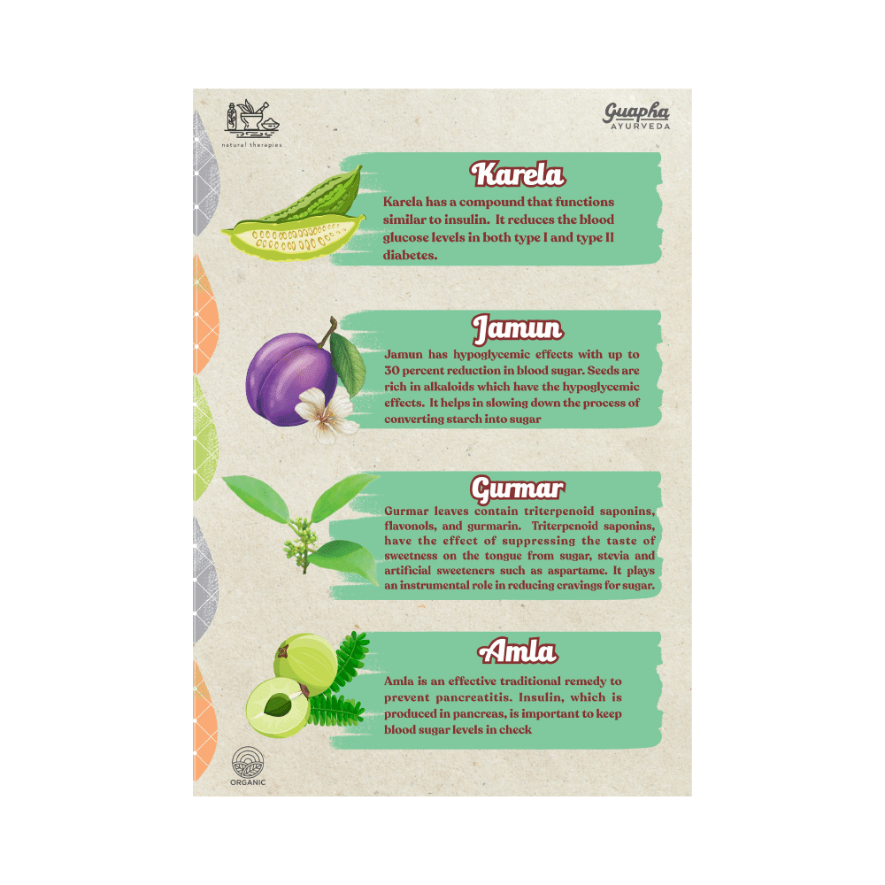 Guapha Ayurveda Diabetes Wellness  Tablet - Image 4