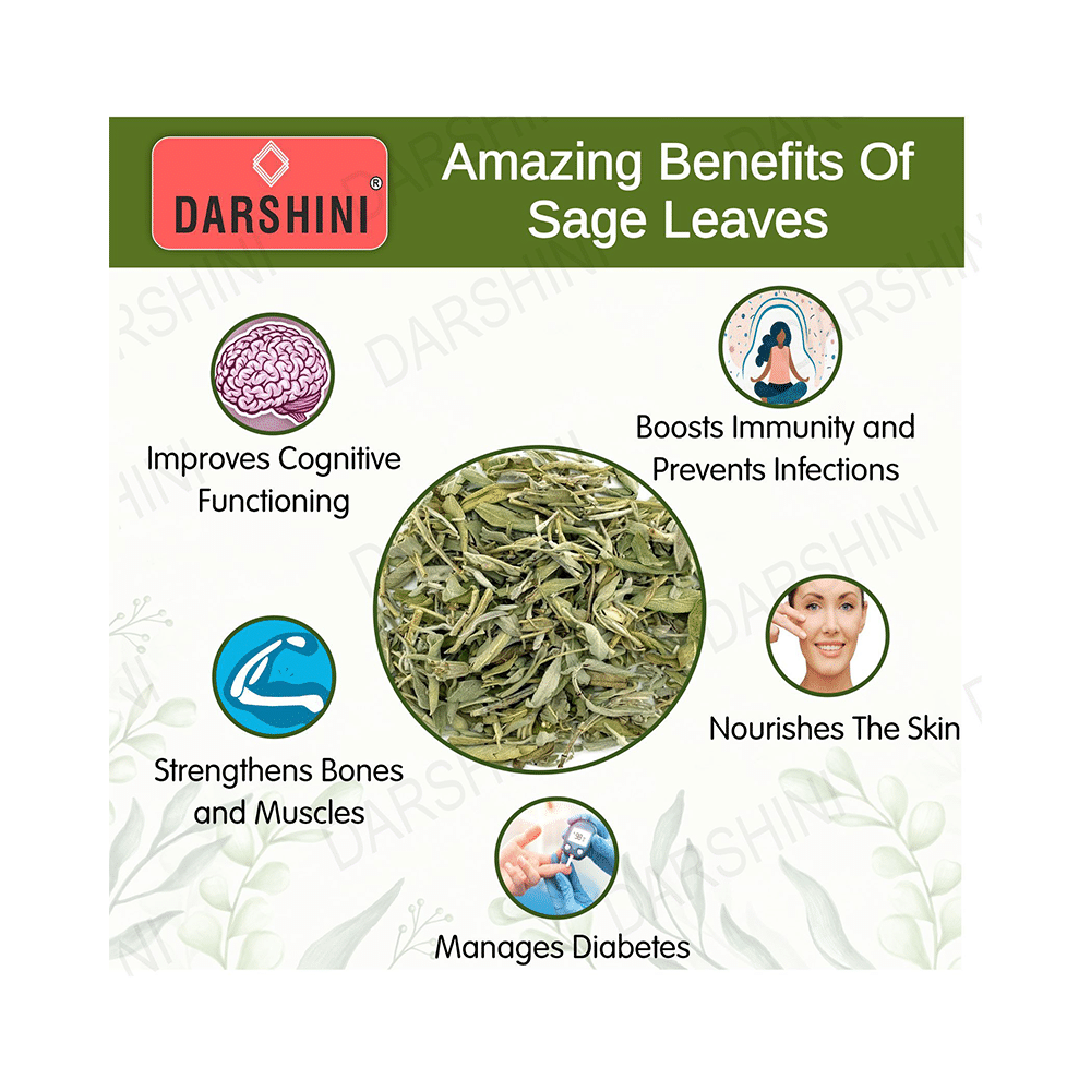 Darshini Sage Leaf / Garden Sage Leaves - Image 2
