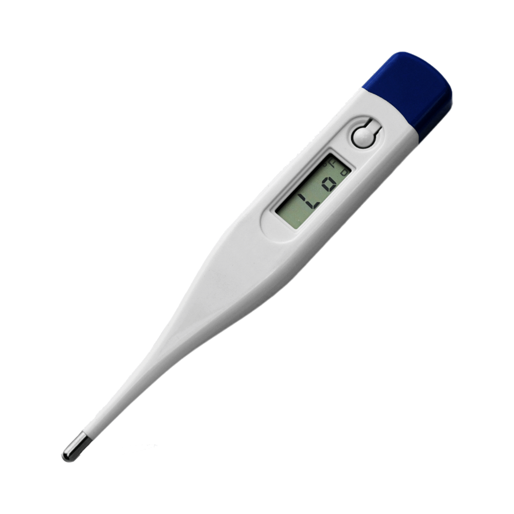 Body Soul Digital Thermometer Device